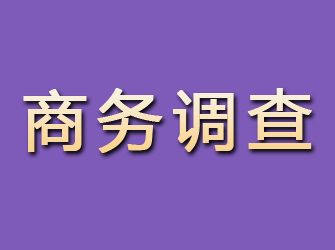 勃利商务调查